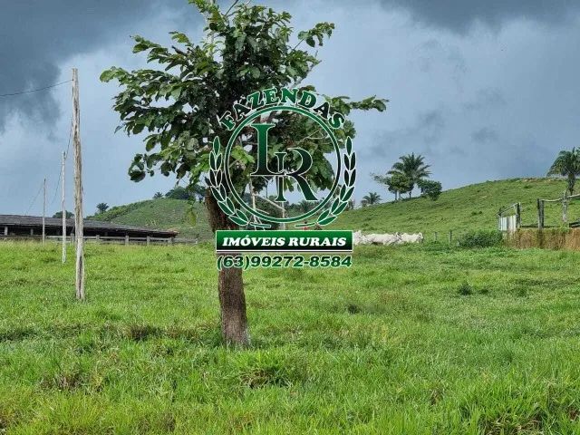 Fazenda de 400 Alqueires no Estado do Pará