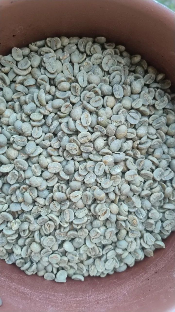 Café  Verde Especial  83 pontos!! 30kg leia o anuncio - Foto 3