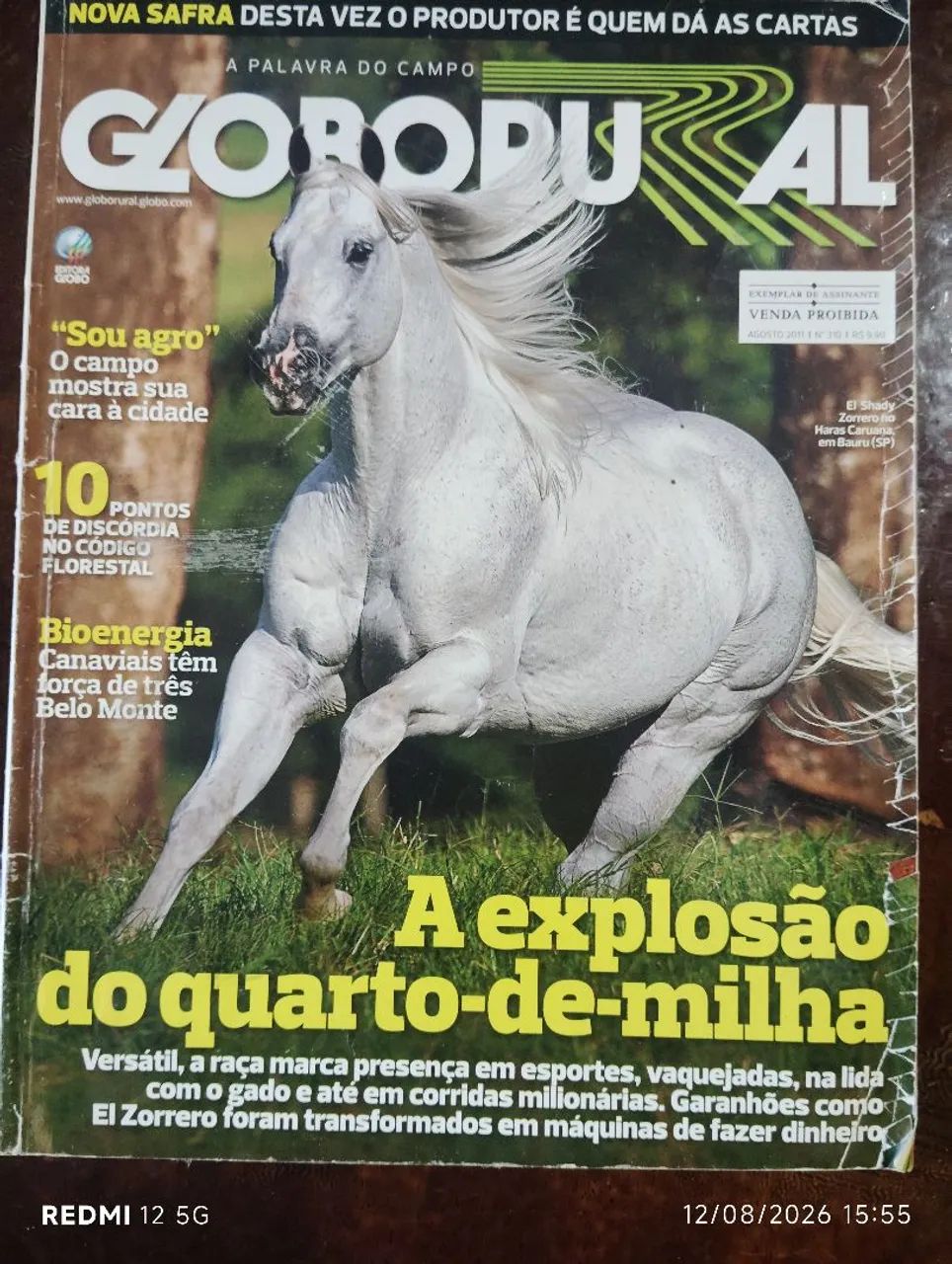 Revista Globo Rural (usada)