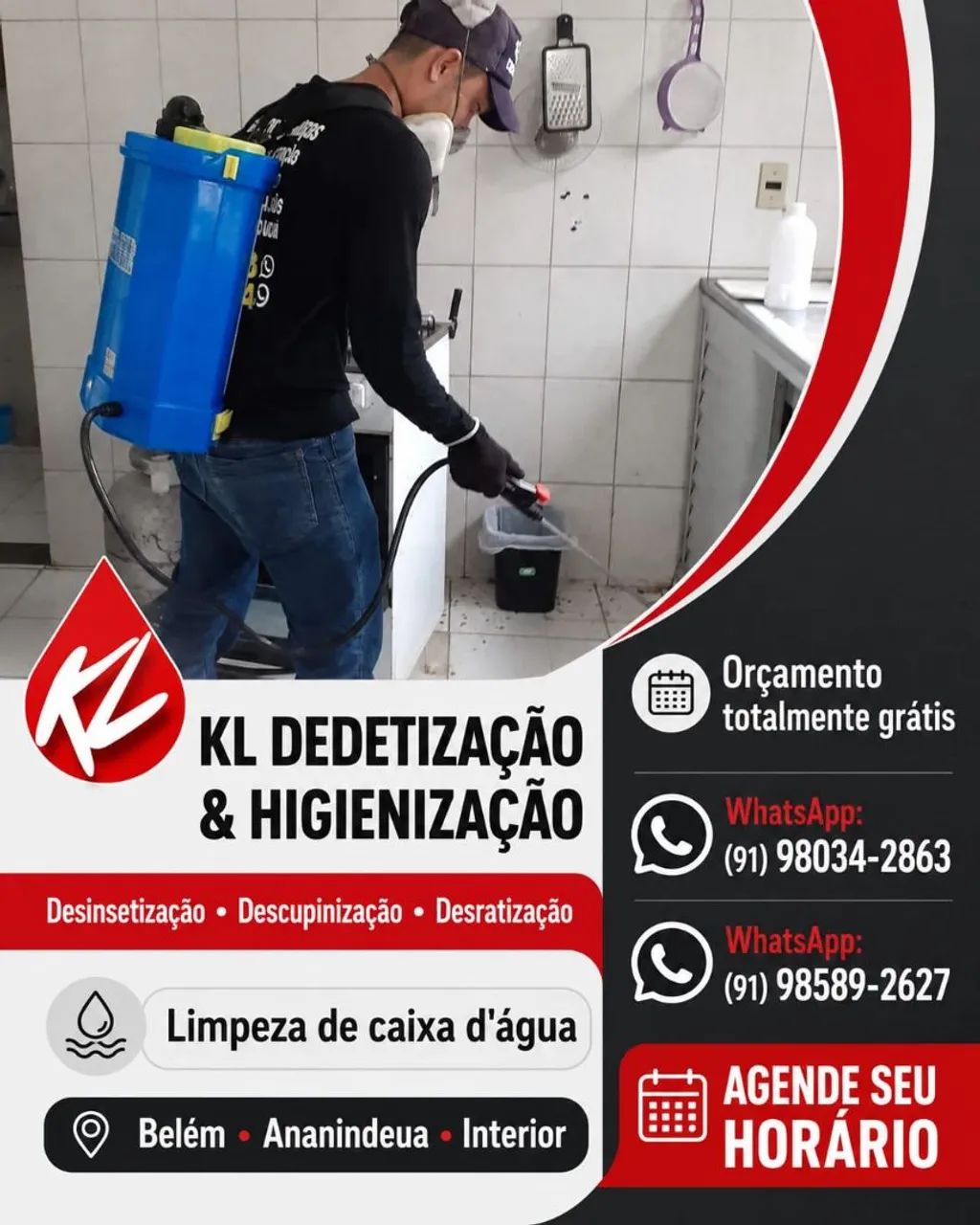 Dedetização kl dedetização  - Foto 2