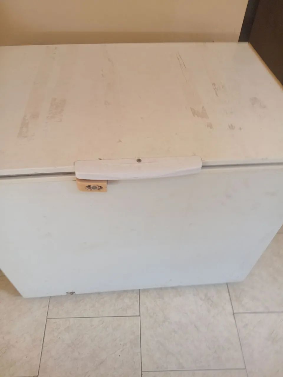 Frezer eletrolux h300