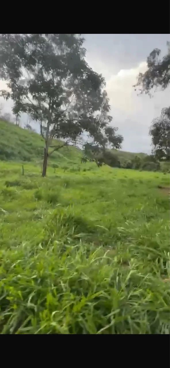 Fazenda em Minaçu - Foto 2