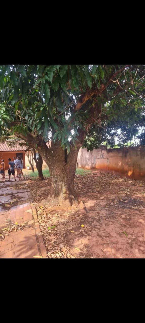 Terreno 360m² no Nova Lima com casa aos fundos. - Foto 2