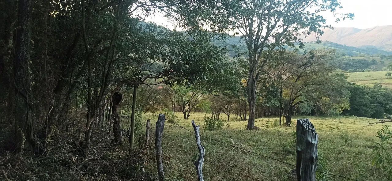 Oportunidade terreno  - Foto 4