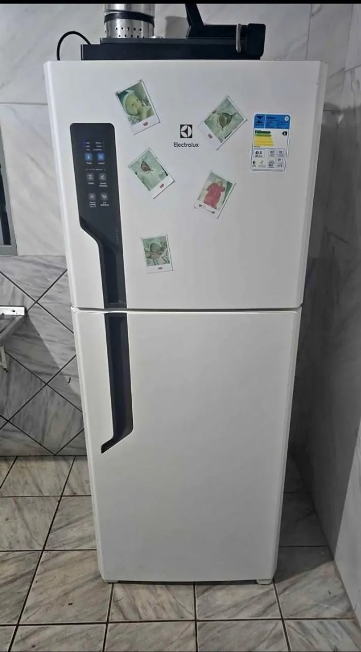 EXPOSITOR DE PEIXES - GRUPO ARTINOX - Geladeiras e Freezers