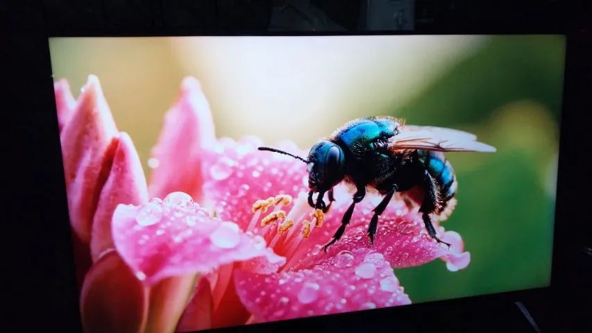 Tv Smart LG 50 Polegadas Imagem Lindissima Impecavel Completa - Foto 4