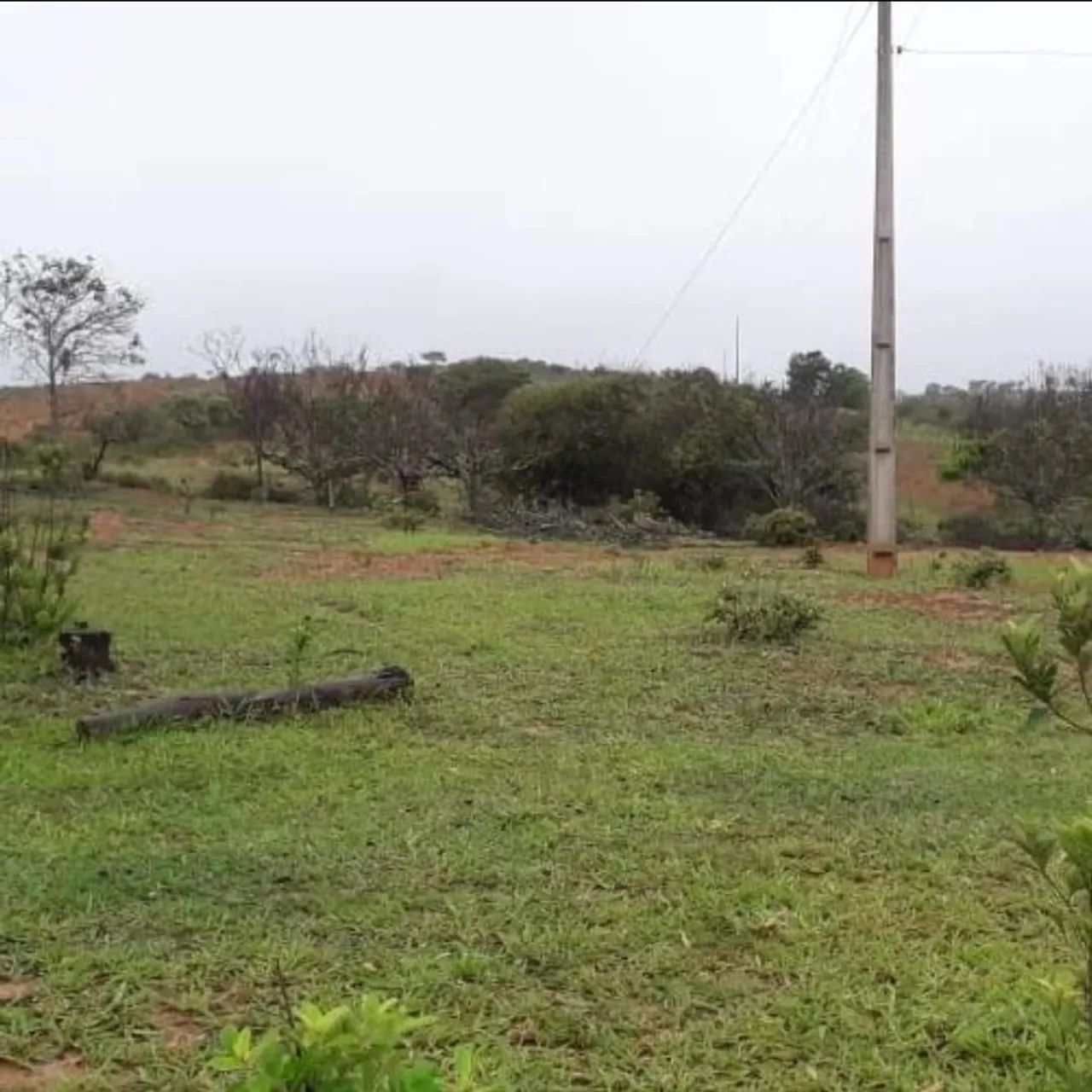 Fazenda sentindo campo florido  - Foto 3