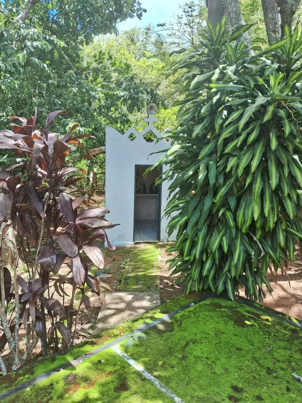 chácara bela vista - Foto 2