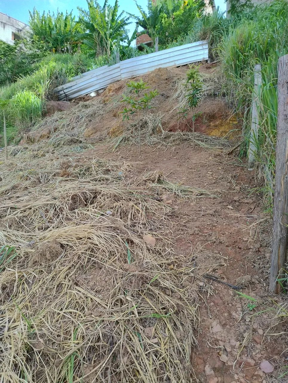 Terreno bom