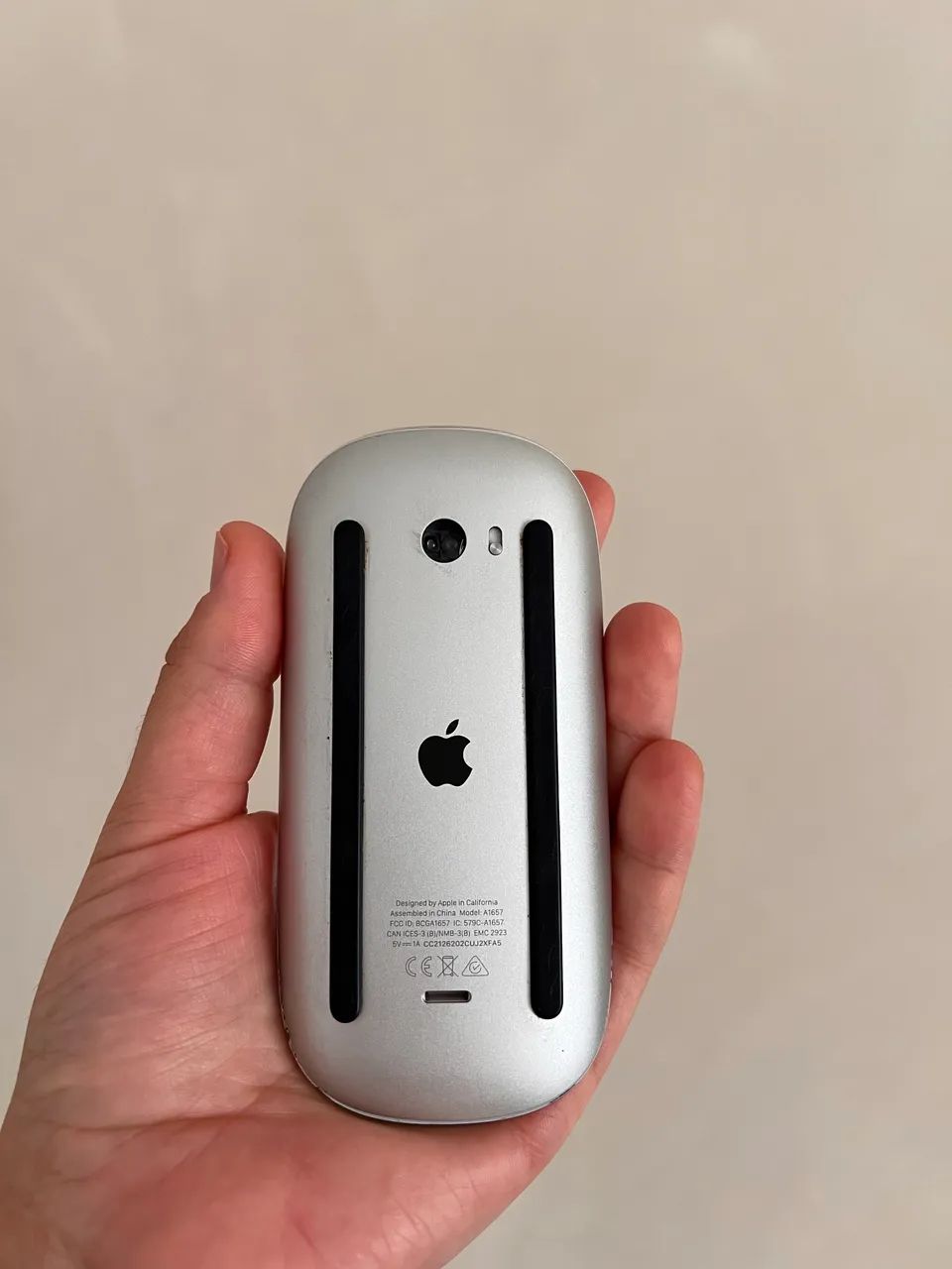 Apple Magic  - Foto 4
