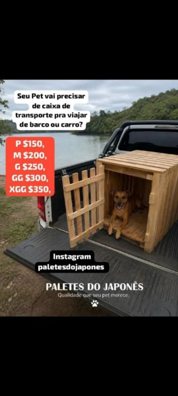 Caixa de transporte Pet 