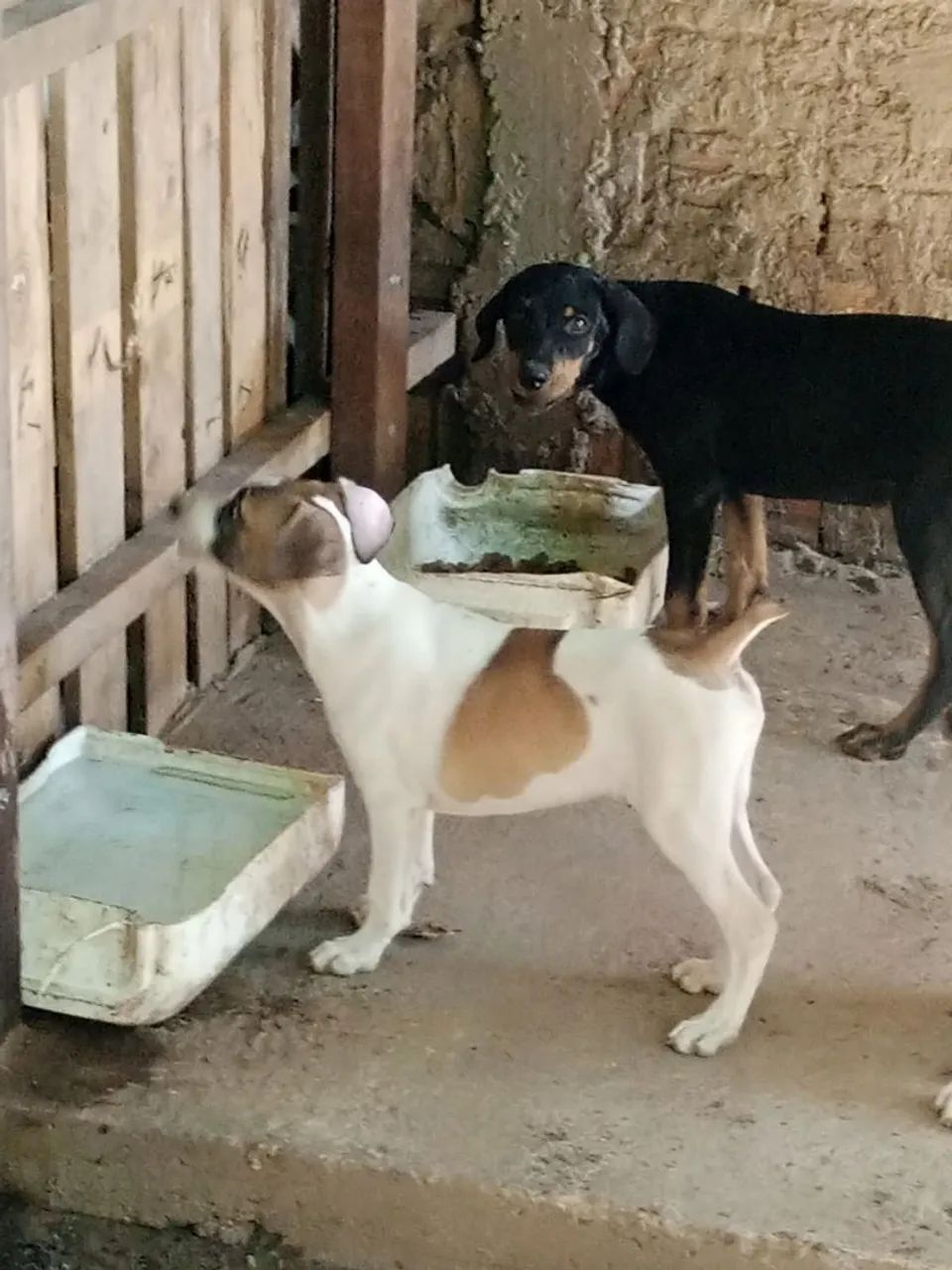 Doação consciente  - Foto 4