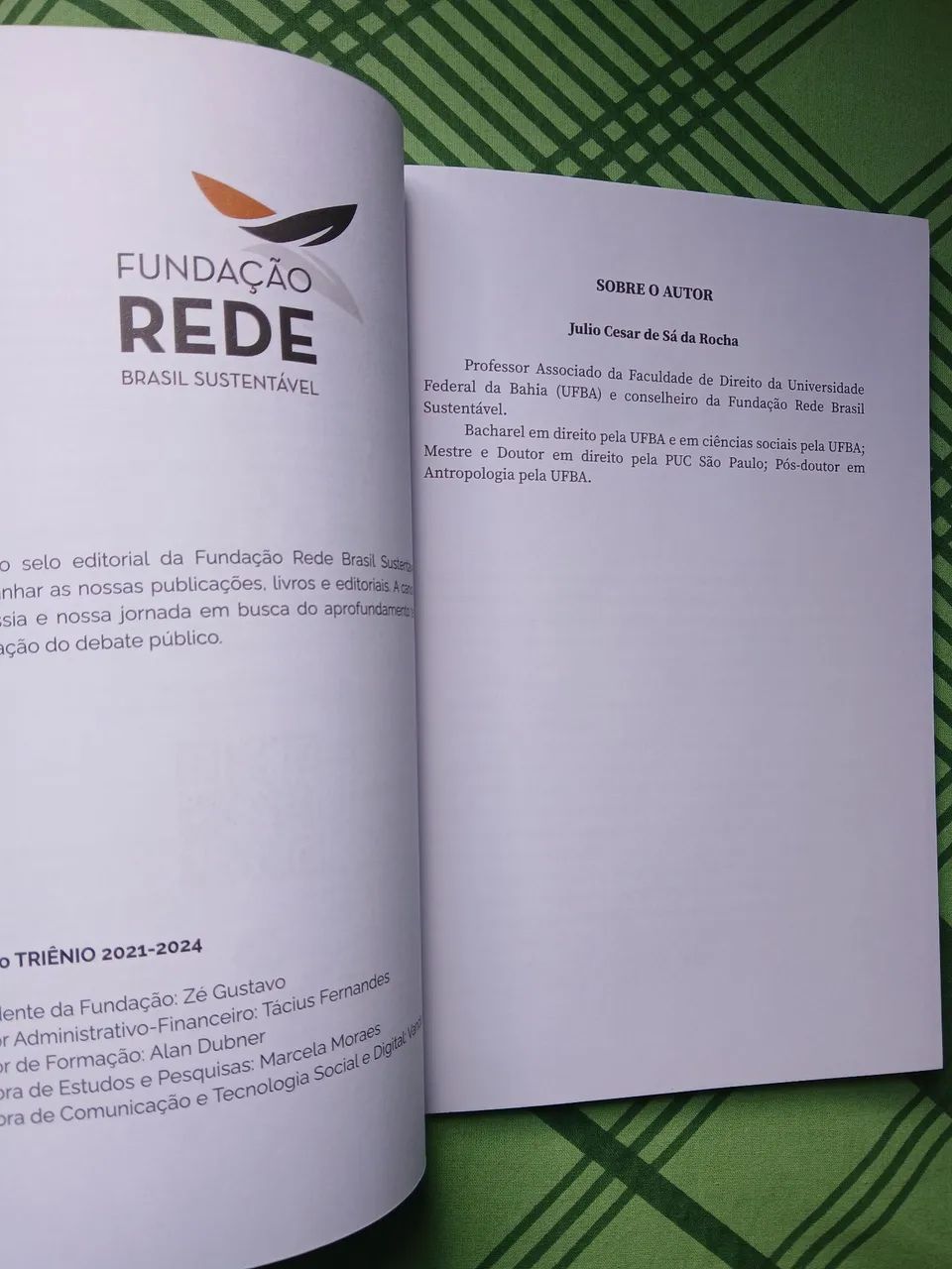 Livro O que é sustentabilidade. - Foto 2
