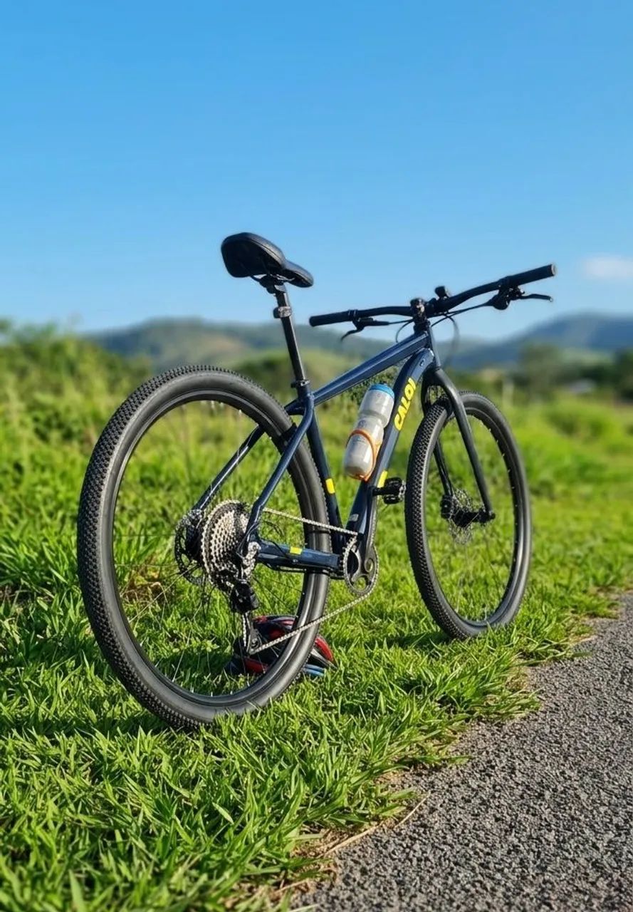 Bike Mtb Aro 29²