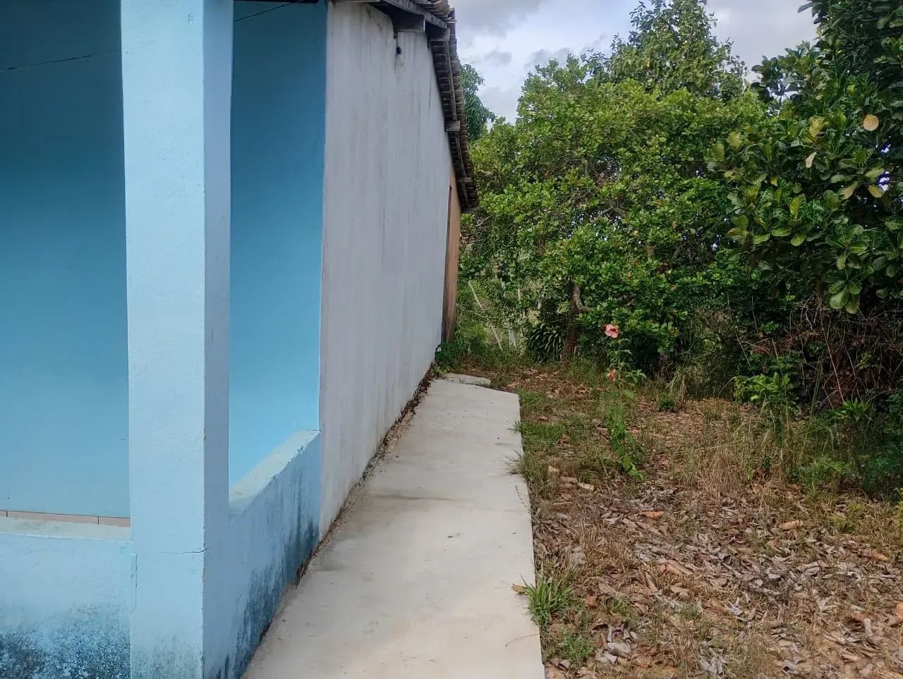 Sitio proximo a Boquim - Foto 3