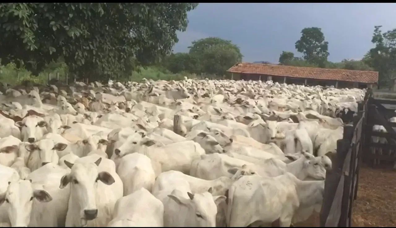 Fazenda a venda, em Monte Alegre de Goias!