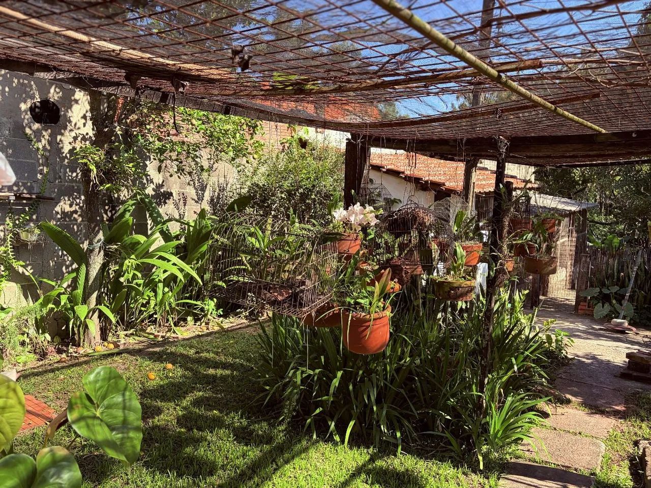 Excelente Chácara a venda  - Foto 3