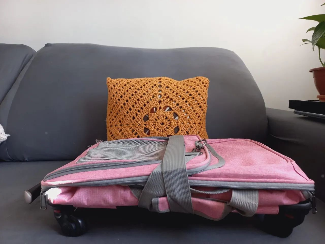 Bolsa de transporte pets cães gatos respirável com rodinhas e alça - Foto 2