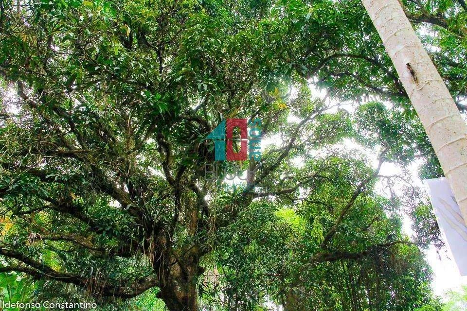 Vargem Pequena | Terreno - Foto 4