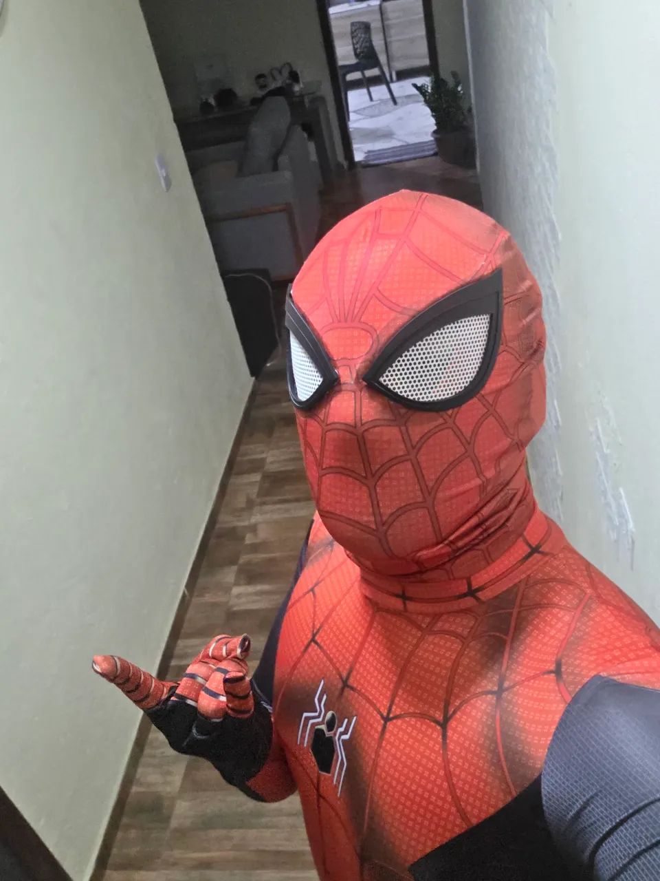 Fantasia homen aranha  - Foto 4