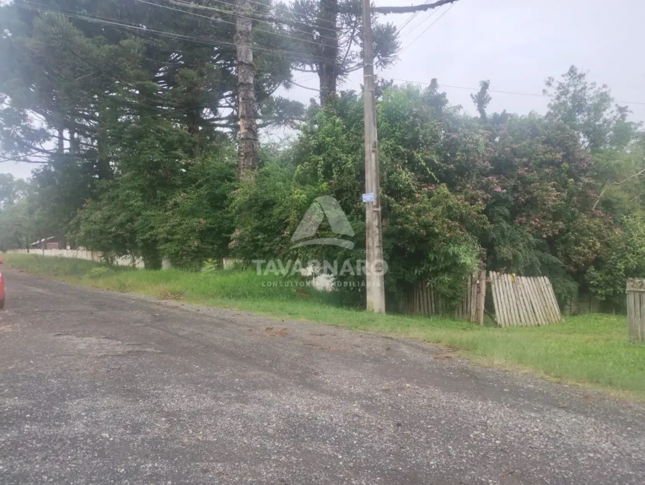 Terreno a venda em Uvaranas - Foto 2