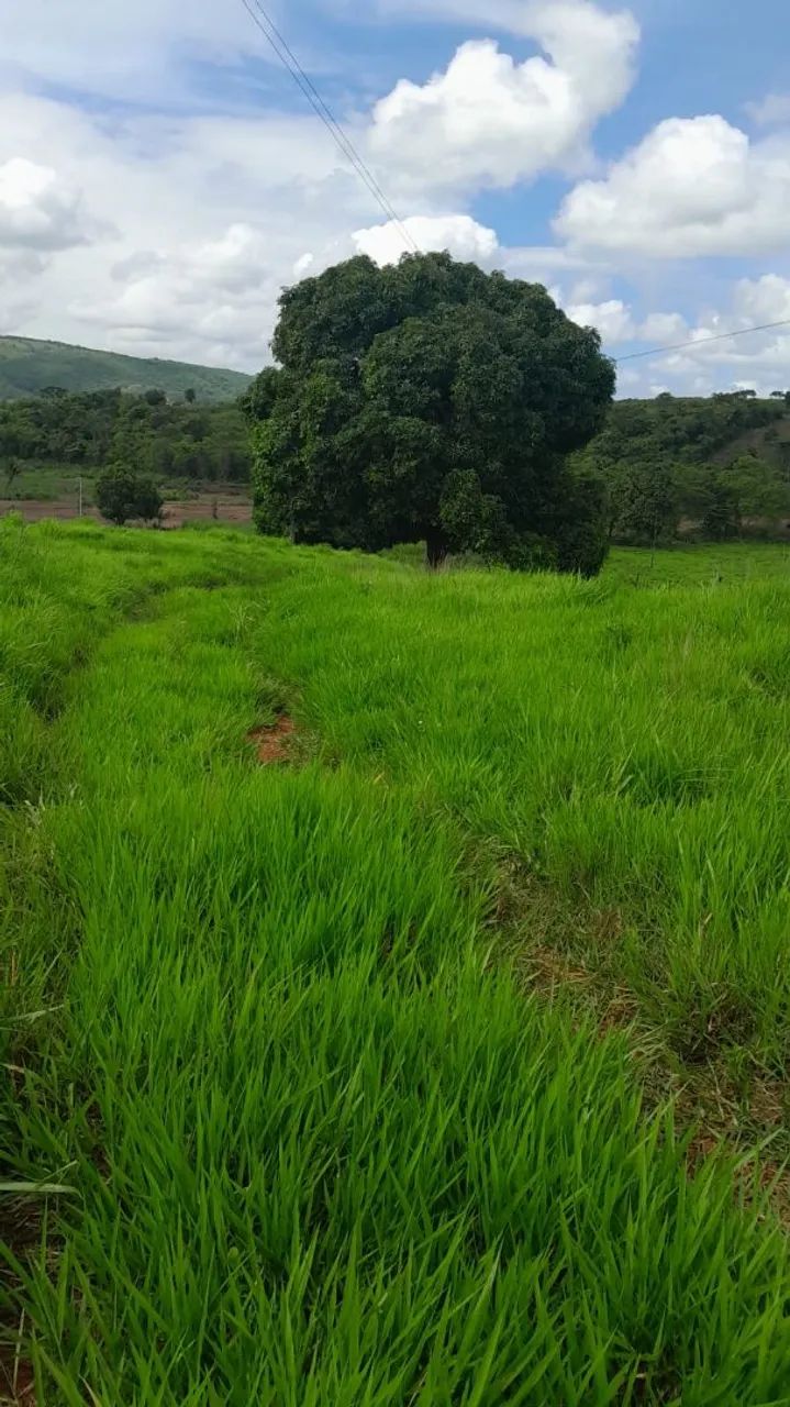 Sítio Disponível em Alagoa Grande  - Foto 2