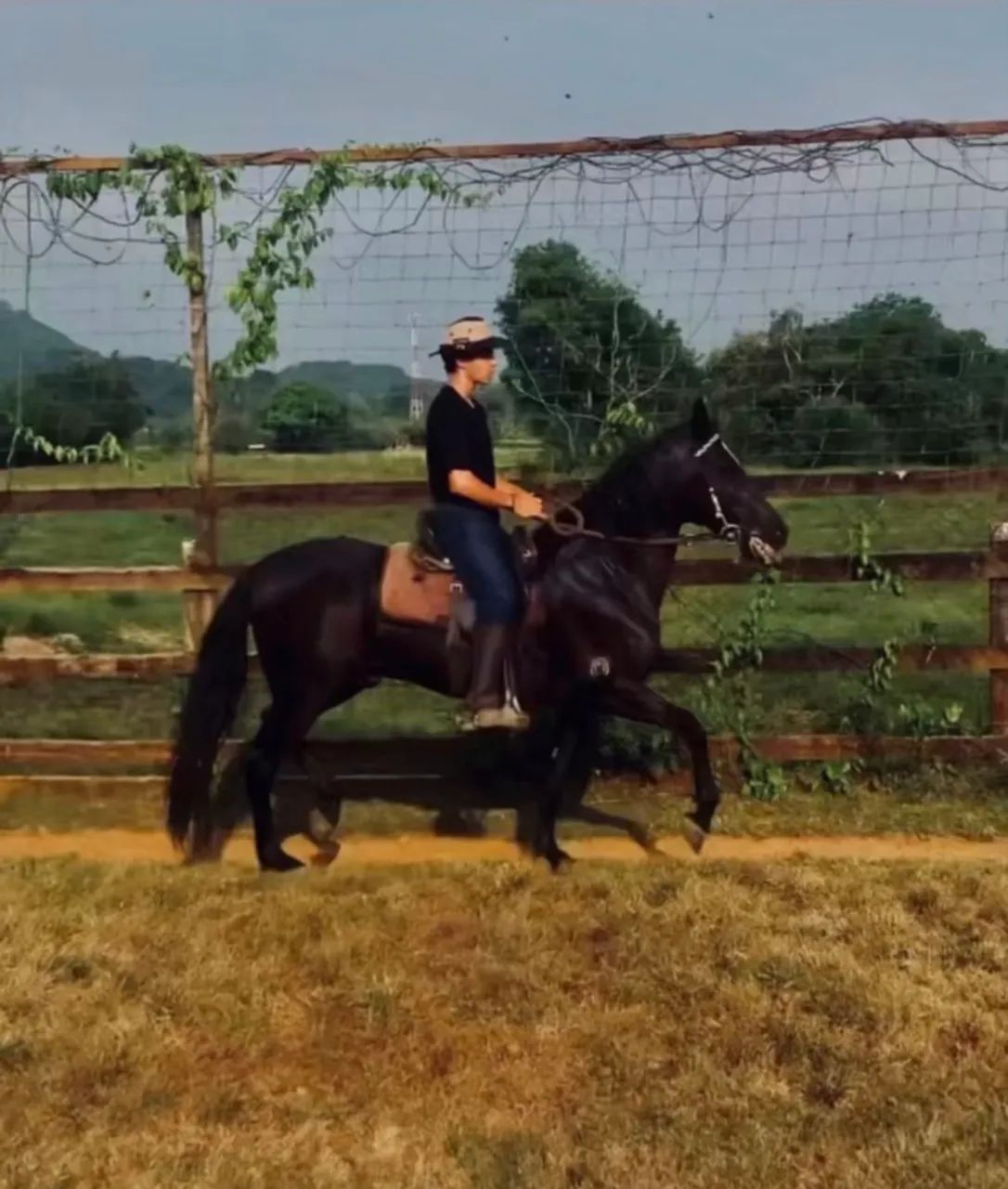 Vendo cavalo mangalarga marchador de competição  - Foto 5
