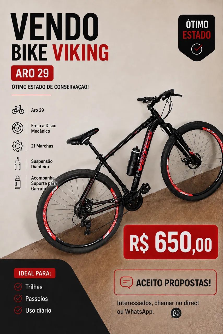 Bike voice 29