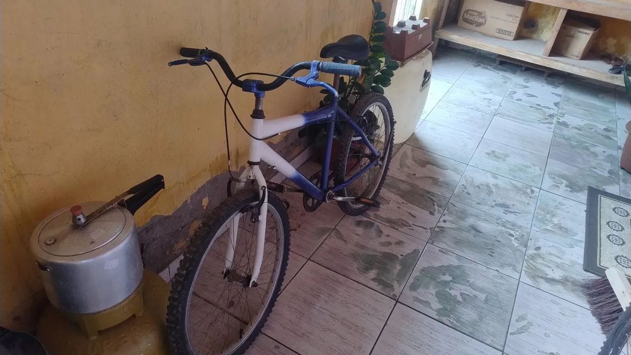 Bicicleta 