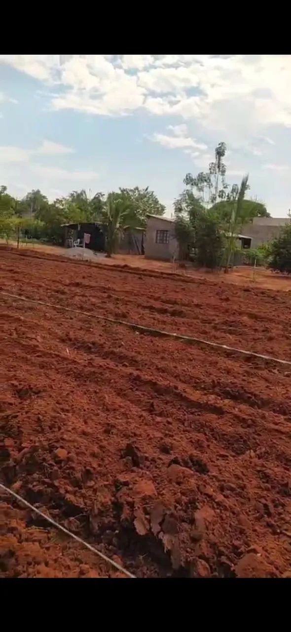 Lote setor de xhacara - Foto 2