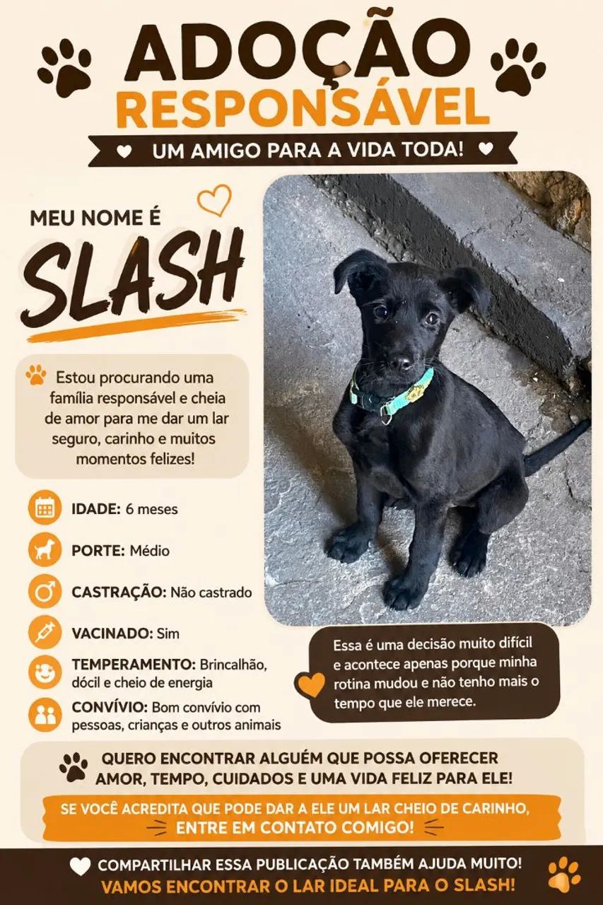 Doação 