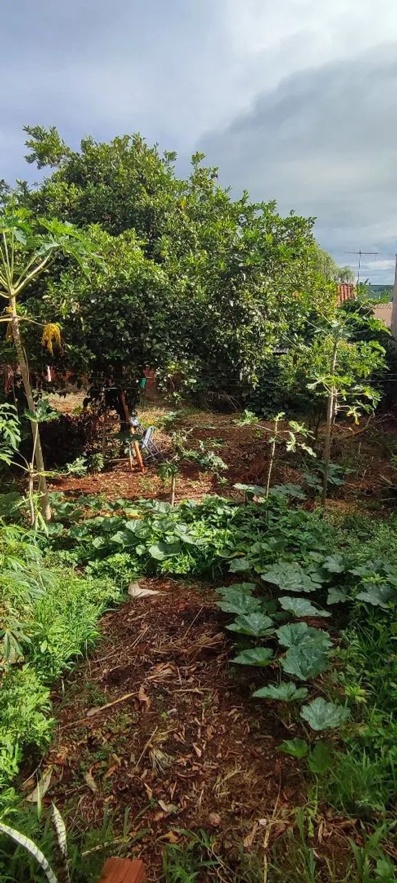 Vendo casa em Marialva/PR - Foto 3