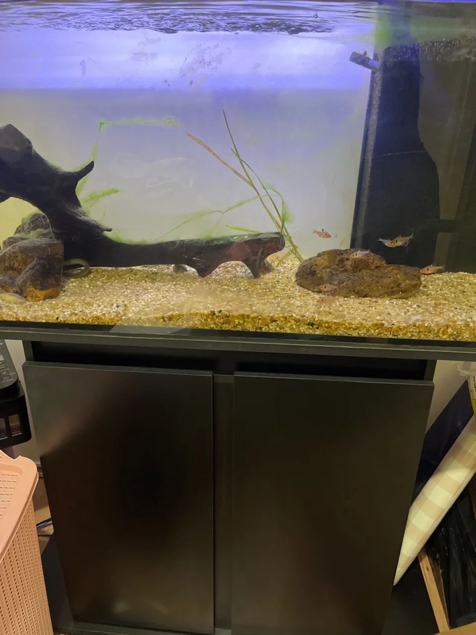 Aquário 200L (100cm largura) - Foto 3