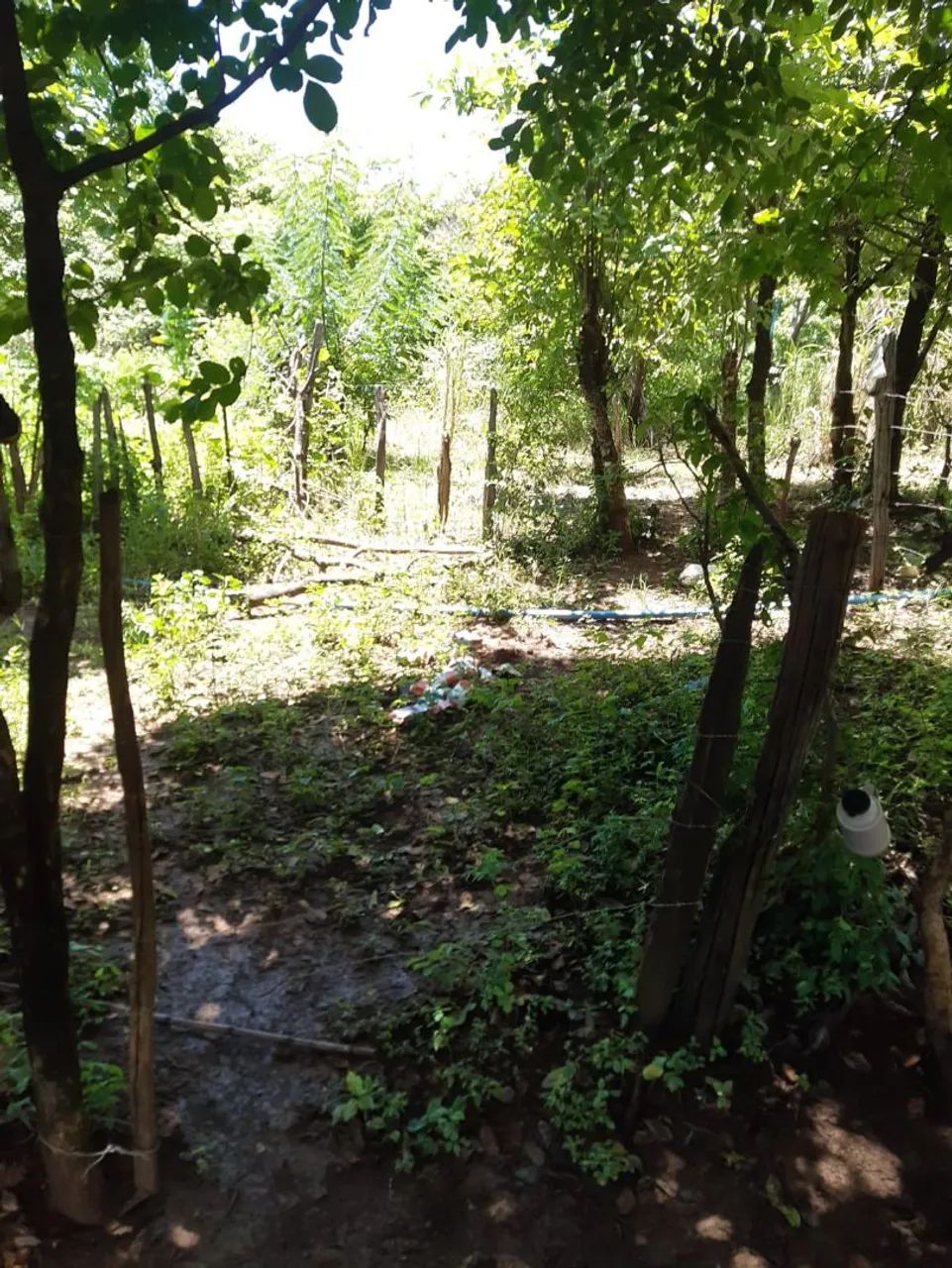 Fazenda  - Foto 3