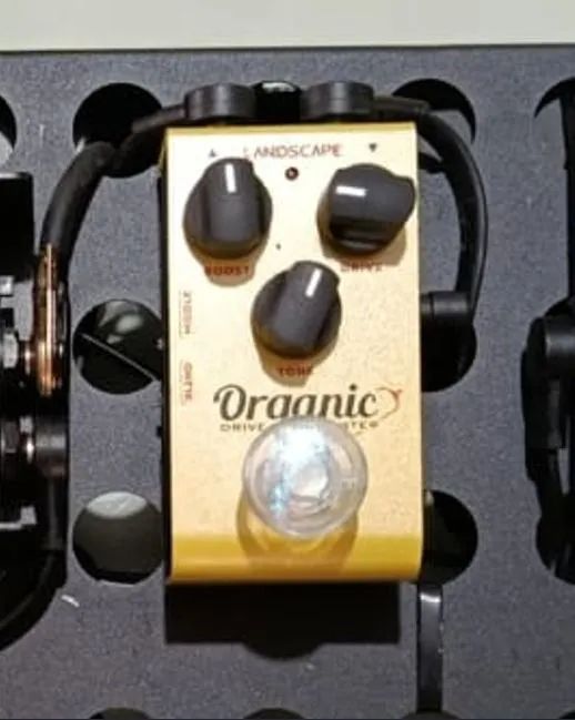 Pedal Organic Drive landscape