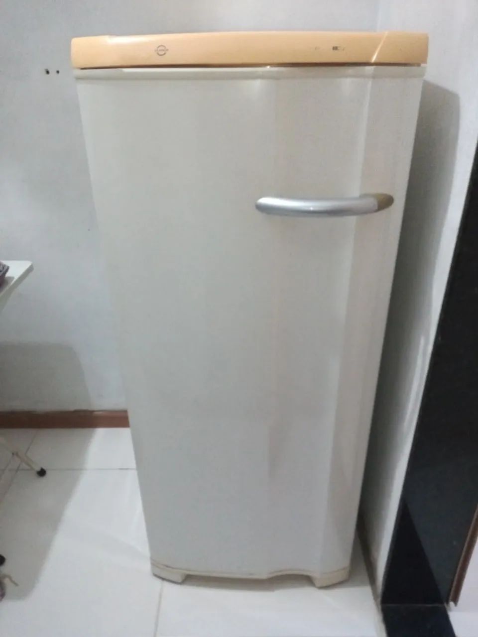 Freezer vertical super Fé 18 Eletrolux 