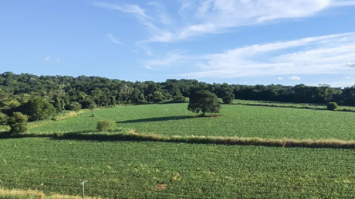 Área Comercial com 10.000m² na Região da Macaúba em Nerópolis - Foto 3