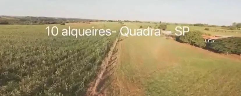 Sítio de 10 Alqueires em Quadra - SP - Foto 5