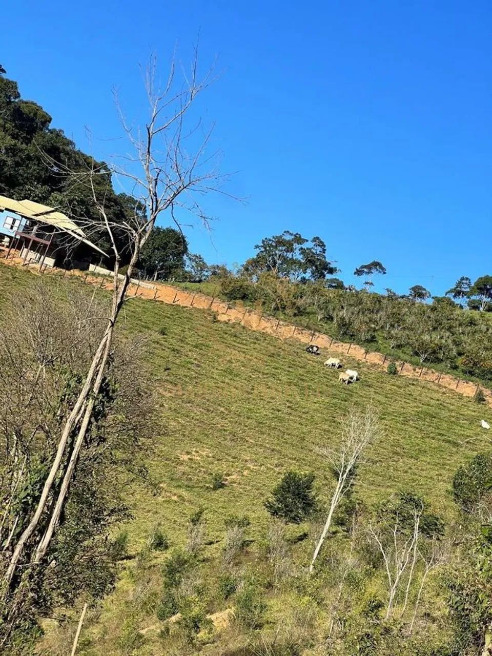 Sítio com casa de alto padrão - Domingos Martins - Foto 5