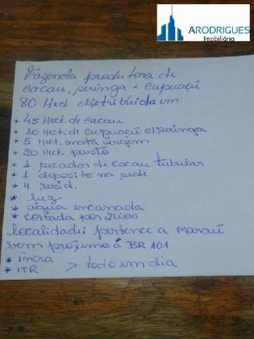 Sítio - Foto 8