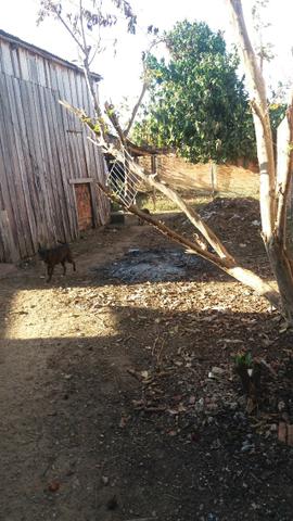 Venda - Casa no bairro Cidade Nova - Foto 11