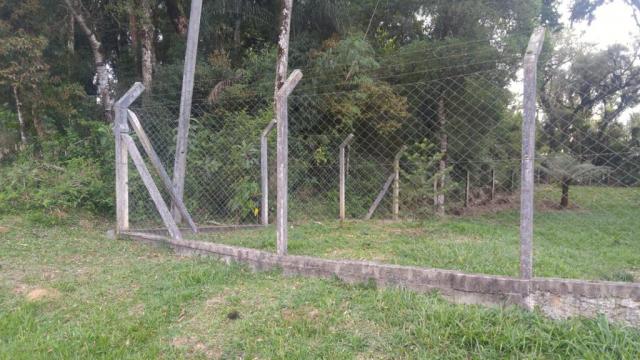 Chácara à venda em Borda do campo, São josé dos pinhais cod:69291 - Foto 3