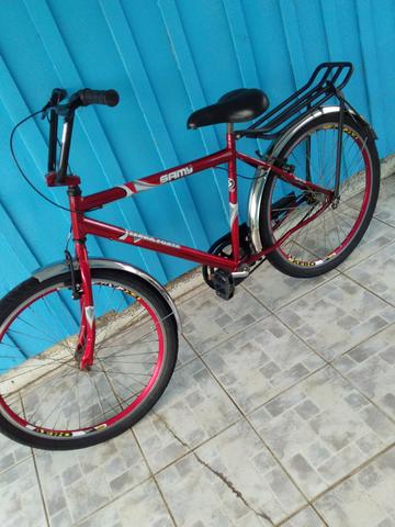 Bicicleta Terra Forte