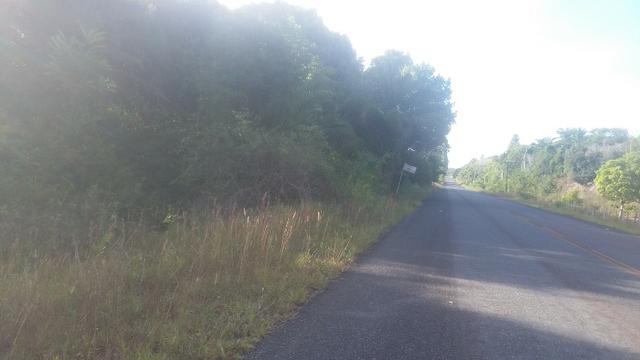 Chácara - Foto 3
