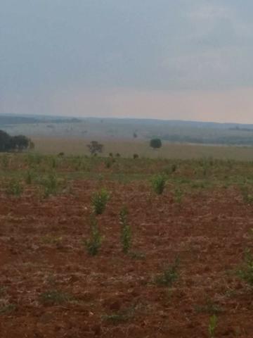 ID.12 Fazenda 190 alq. Para Lavoura á venda em Caldas novas-Go - Foto 2