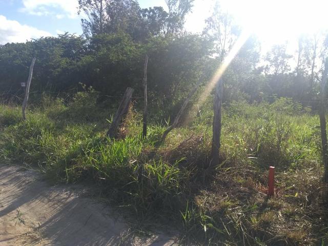 Vendo terreno próximo a PRF GRAVATÁ - Foto 4
