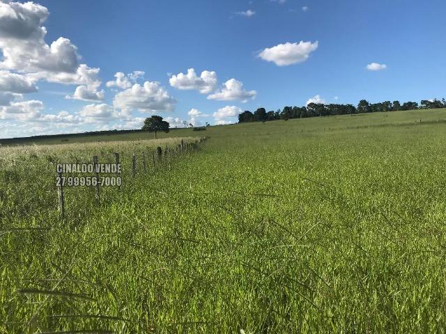 Fazenda em Nova Venécia ES com 25 alqueires (121 hectares) - Foto 4