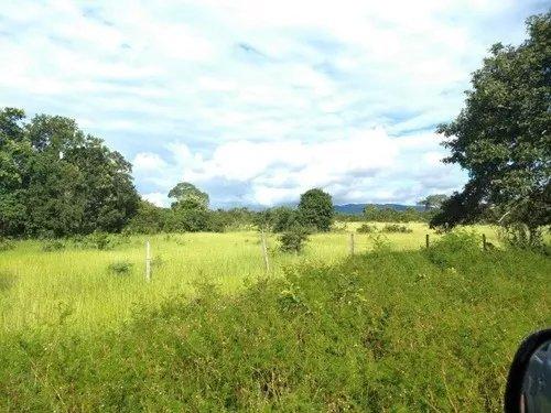 Fazenda - Foto 3