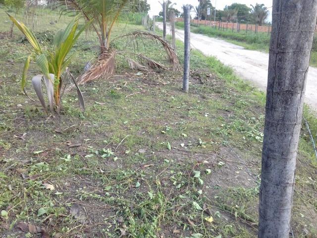 Vendo 2 Terrenos em Salinópolis-PA - Foto 7