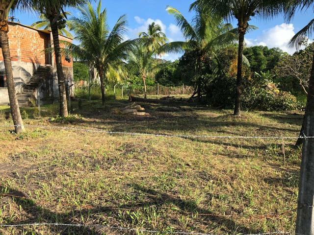 TERRENO na Ilha de Itaparica ( Barra grande) - Foto 9